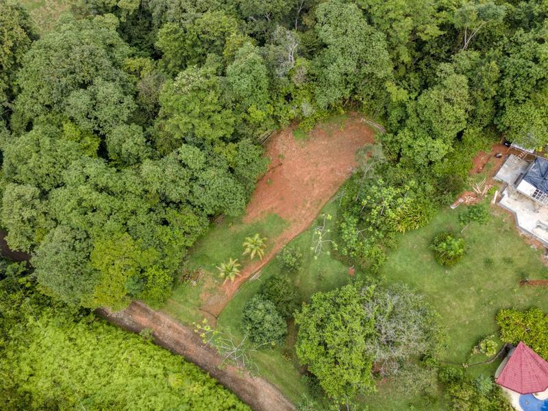 0 bed Lot/Land For Sale in Ojochal,  - 1